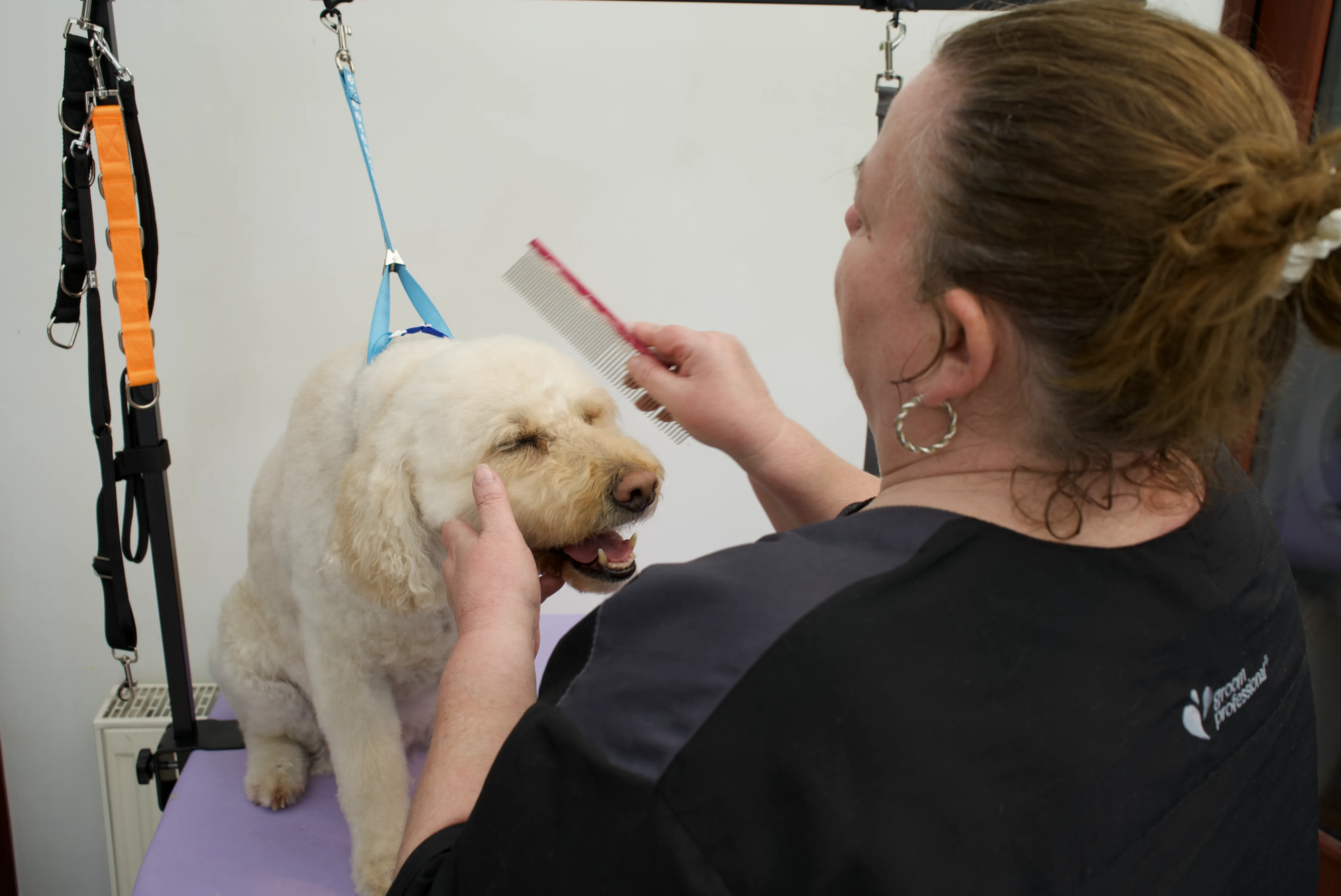 Joanne grooming a dog at The Floof Spa studio